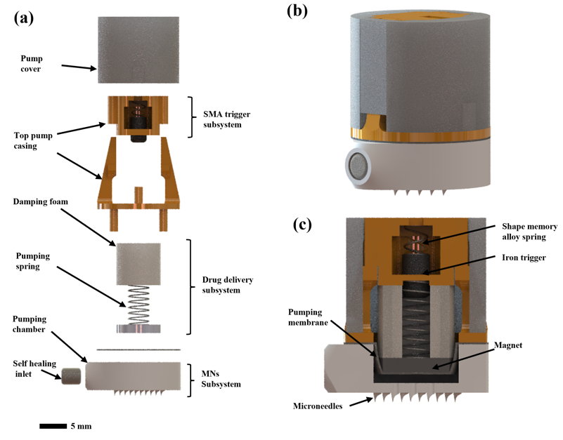 SMA Micropump Design